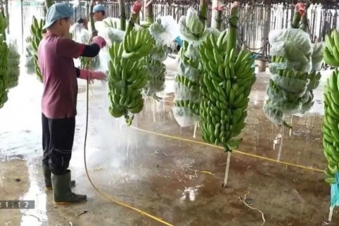 Nông sản Việt và hành trình hướng đến sản xuất xanh bền vững